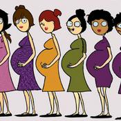 Podcast How To Get Pregnant