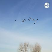 Podcast I Really Don't know