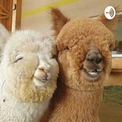 Podcast İki deli bi de kuyu