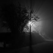 Podcast Immer sonntags