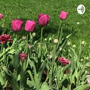 Podcast Karoline Johnsen