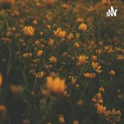 Podcast Katherine Garhardt