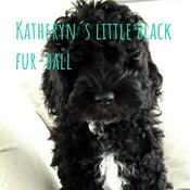 Podcast Katheryn´s little black fur-ball