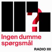 Ingen dumme spørgsmål