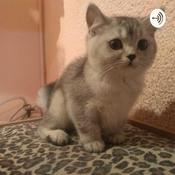 Podcast La pijama del gato