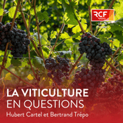 Podcast La viticulture en questions · RCF Cœur de Champagne