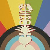 Podcast Learning community diversiteit en inclusie Twente