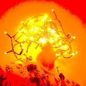 Podcast Les Podcasts de AlterCogito.fr