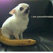 Podcast Lo faccio do(pod)