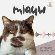 Podcast Miauw, een podcast over katten