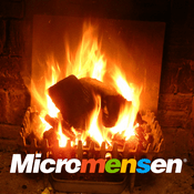 Podcast Micromensen - De Fireside Chats