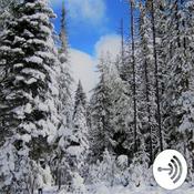 Podcast Module 4 Podcast