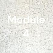 Podcast Module 4