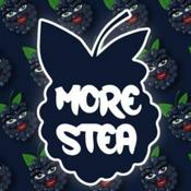 Podcast More Stea