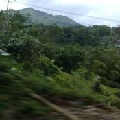 Podcast Ms. Bella Introduction