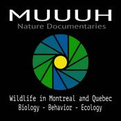 Podcast MUUUH Nature Documentaries
