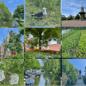 Podcast NATUUR💚LEIDEN