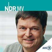 Podcast NDR 1 Radio MV - Vorsicht Leif