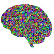 Podcast Neurology for Vets and Pets