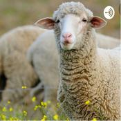 Podcast New zealand yesterday and today
