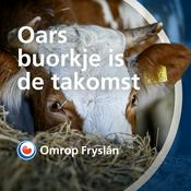 Podcast Oars buorkje is de takomst