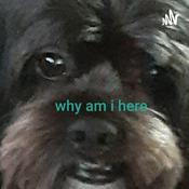 Podcast Awkward Topic’s with Seabass