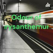 Podcast Odour of Chrysanthemums