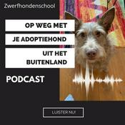 Podcast Op weg met je adoptiehond uit het buitenland