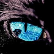 Podcast Panthers Reddit Podcast