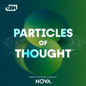 Particles of Thought