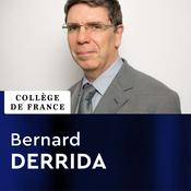 Podcast Physique statistique - Bernard Derrida