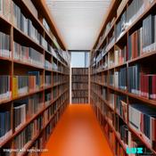 Podcast Ponto de vista