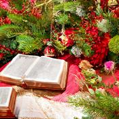 Podcast Daily December Devotional