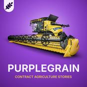 Podcast Purple Grain