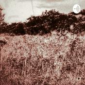 Podcast ¿Qué fue de mí?