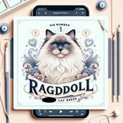 Podcast Ragdoll - The Number 1 Cat Breed?