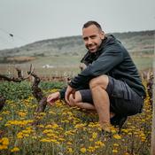 Podcast Sandro's WSET LEVEL 4 Diploma Learning Journey