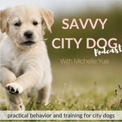 Podcast Dog & Puppy Training | Savvy City Dog