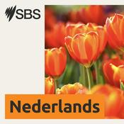 Podcast SBS Dutch - SBS Nederlands