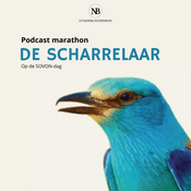 Podcast Scharrelaar