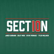 Podcast Section 10