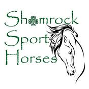 Podcast Shamrock Sport Horses