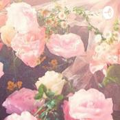 Podcast Simple yes or no