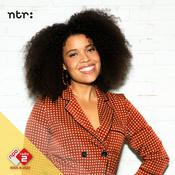 Podcast Solid Vibes met Angelique Houtveen