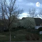 Podcast Sounds of Nature