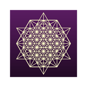 The Soul Matrix