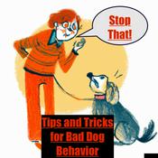 Podcast Stop That! Tips and Tricks for Bad Dogs