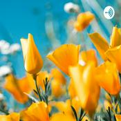 Podcast Story Of Zero