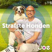 Podcast Strafste Honden