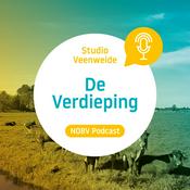 Podcast Studio Veenweide - De Verdieping
